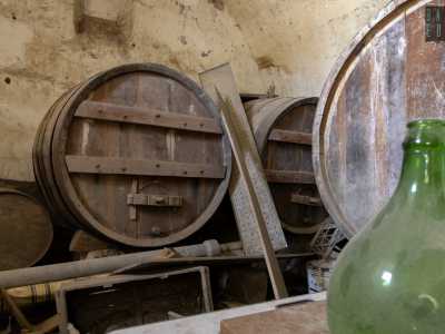 ...tra cui la cantina che ospita ancora delle grosse botti di legno...